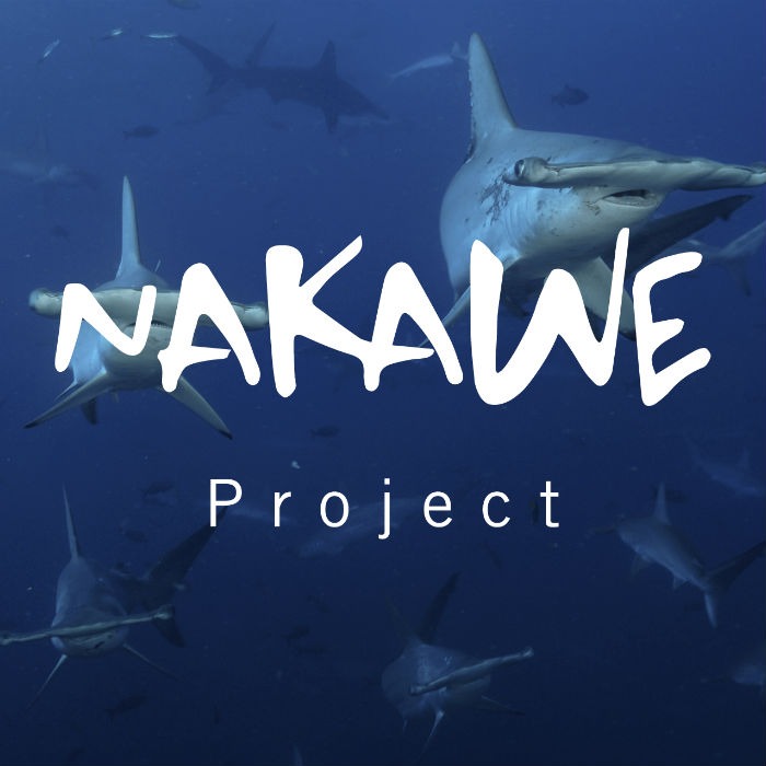 Nakawe Project Thumbnail