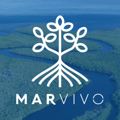MarVivo Thumbnail
